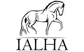 Friesian
